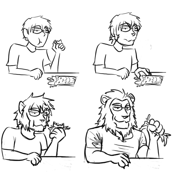 600x600 Lion Candy Bar By Fighting Wolf Fist