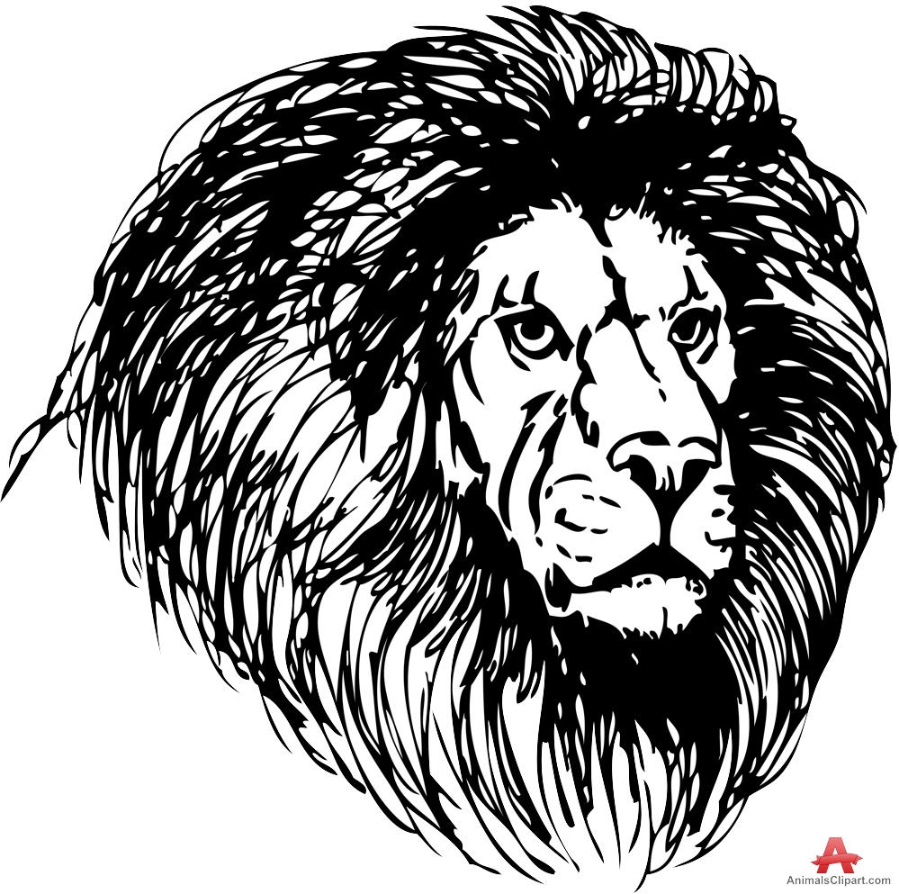 Lions Head Drawing
