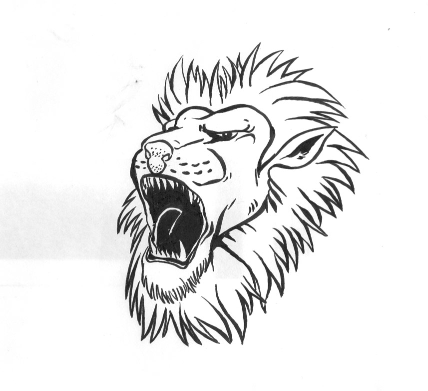 857x782 Drawser How To Draw A Lion's Head