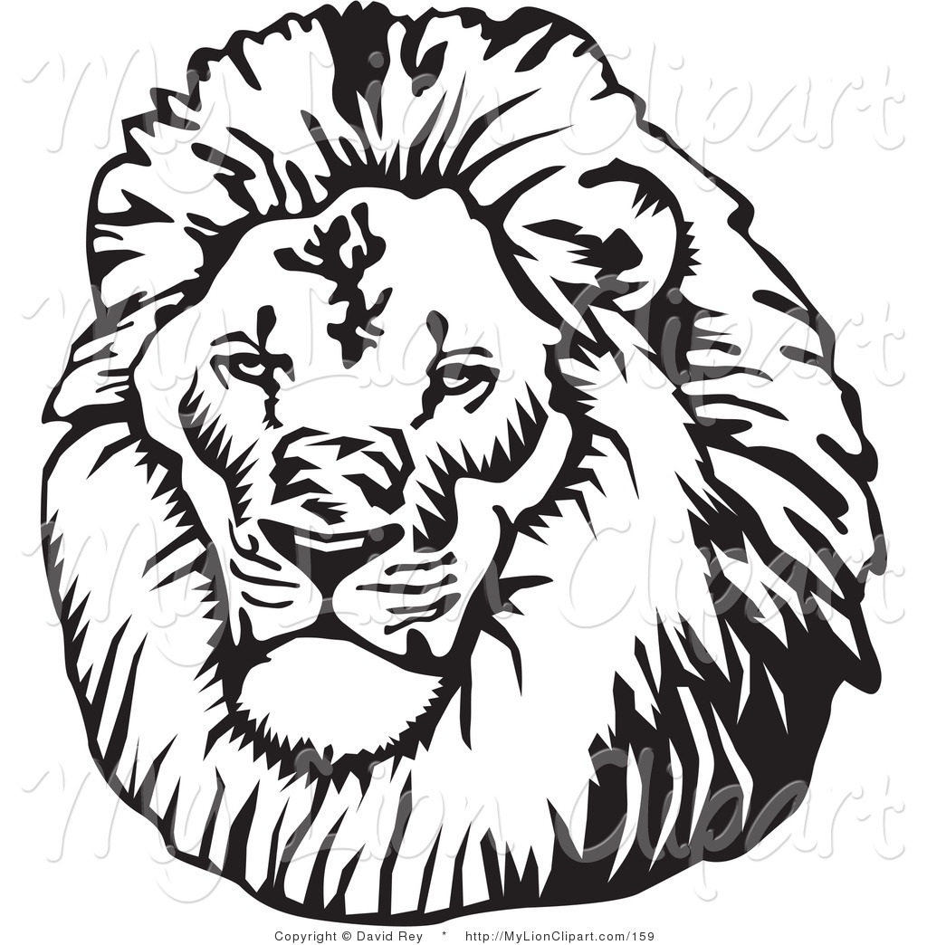 1024x1044 Lion Head Clipart Black And White Letters