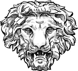 264x240 Search Photos Lion's Head