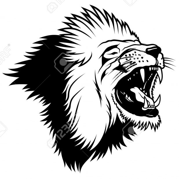 618x618 Adult Lion Drawing Outline Outline Of Lion Head Drawing. Lion