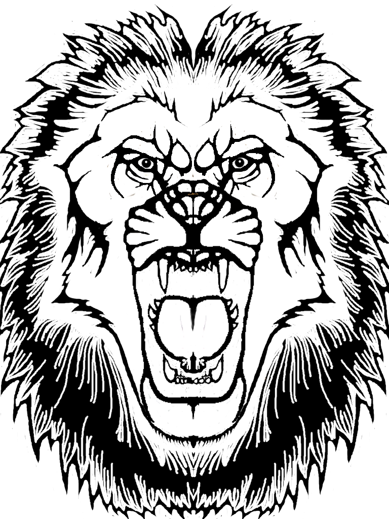 768x1024 Lion Head By Ss209