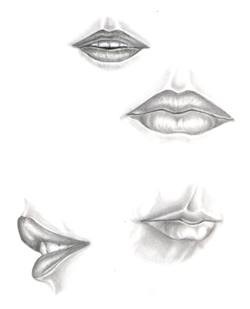 353x435 Lip Study By Shamiart