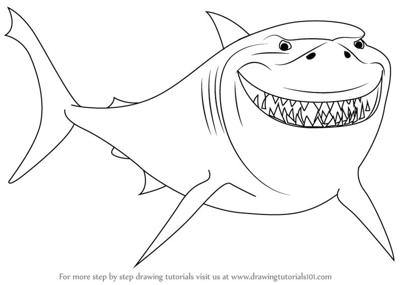 800x566 Step By Step How To Draw Bruce From Finding Nemo