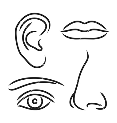 380x400 Lips Nose And Eye Clipart