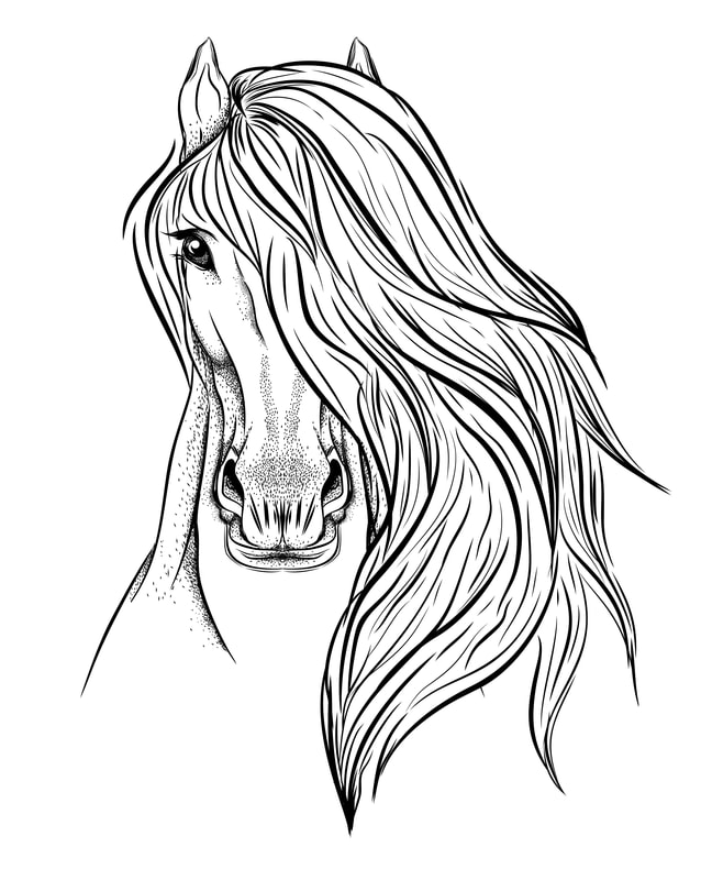 638x800 Lipstick Lopers, Equine Services