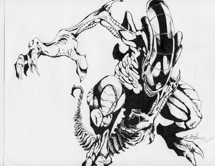 900x694 Aliens Sketch In Micron Pen By Liquiddragondesign