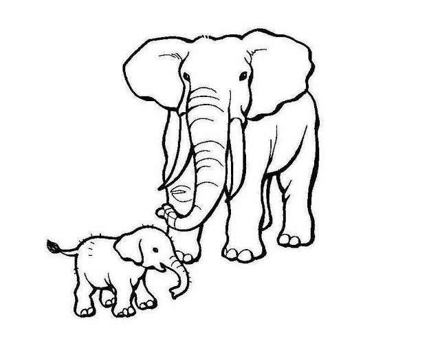 640x503 Colour Drawing Free Wallpaper Elephant Mom Baby Coloring Drawing