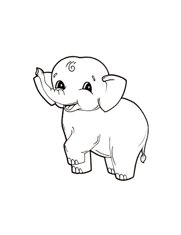 600x778 Little Elephant Lift One Leg Coloring Page