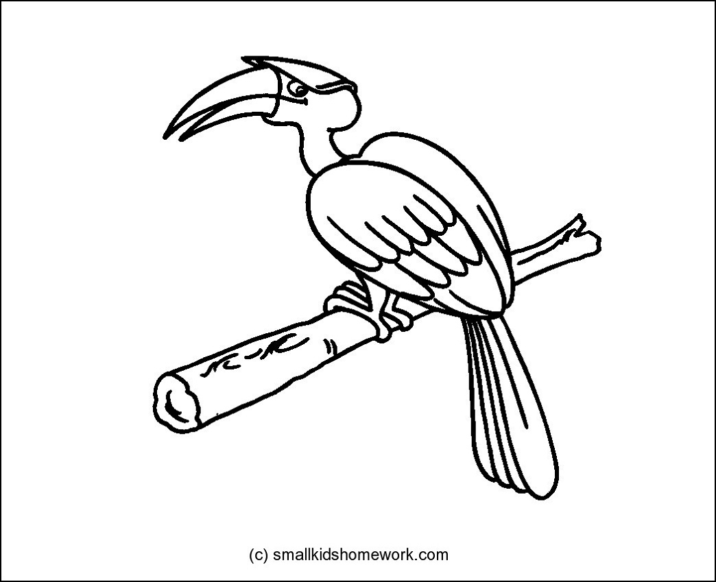 1044x849 Outline Drawing Of A Bird Birds Outline Pictures And Coloring