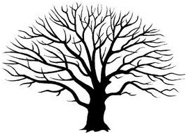 269x194 2012 Live Oak And Tree Program @ Mychna