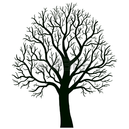 450x450 Oak Tree Drawing Stock Photos. Royalty Free Business Images