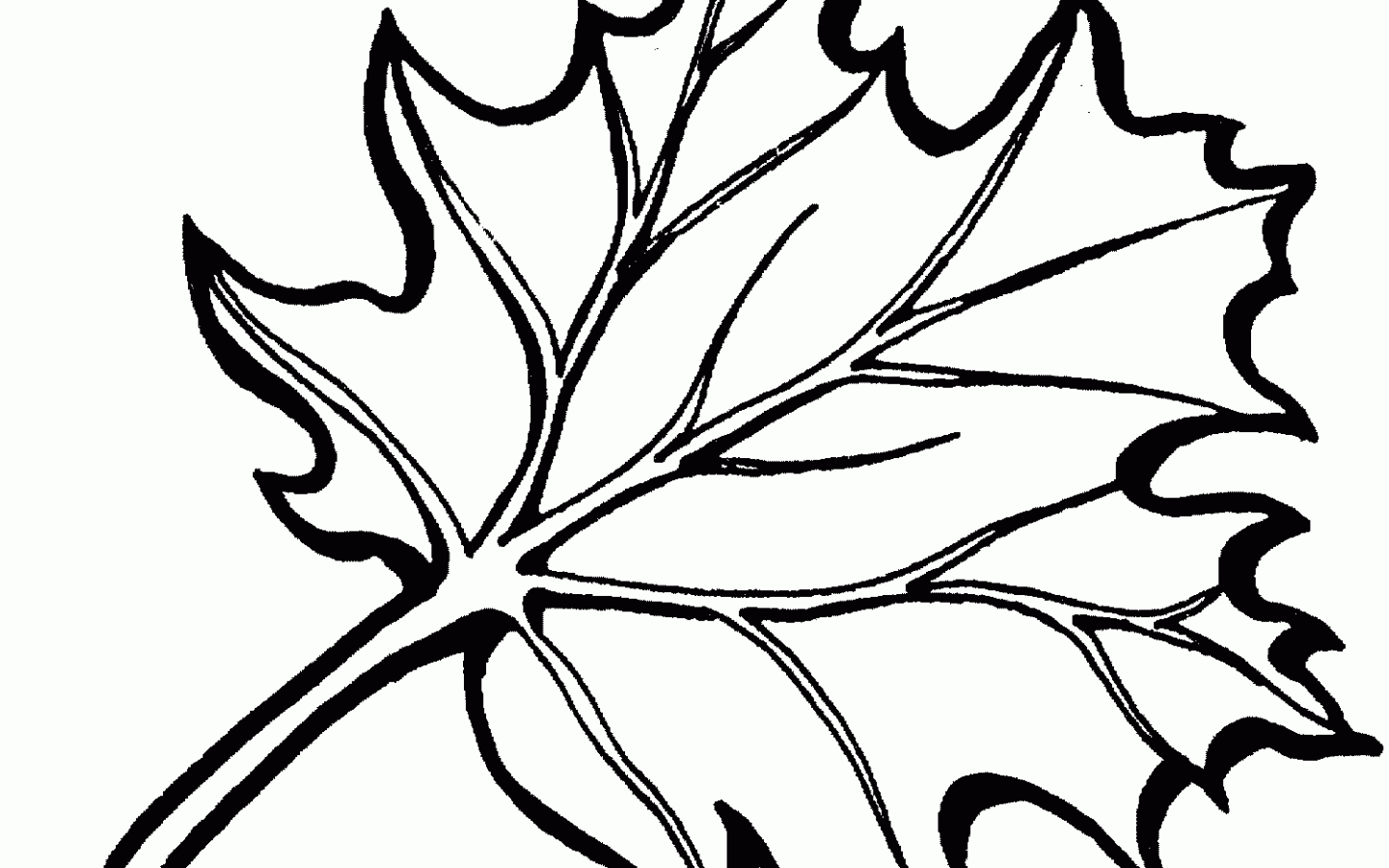 1440x900 Peach Blossom Coloring Page Free Printable Oak Blossoms Flowers