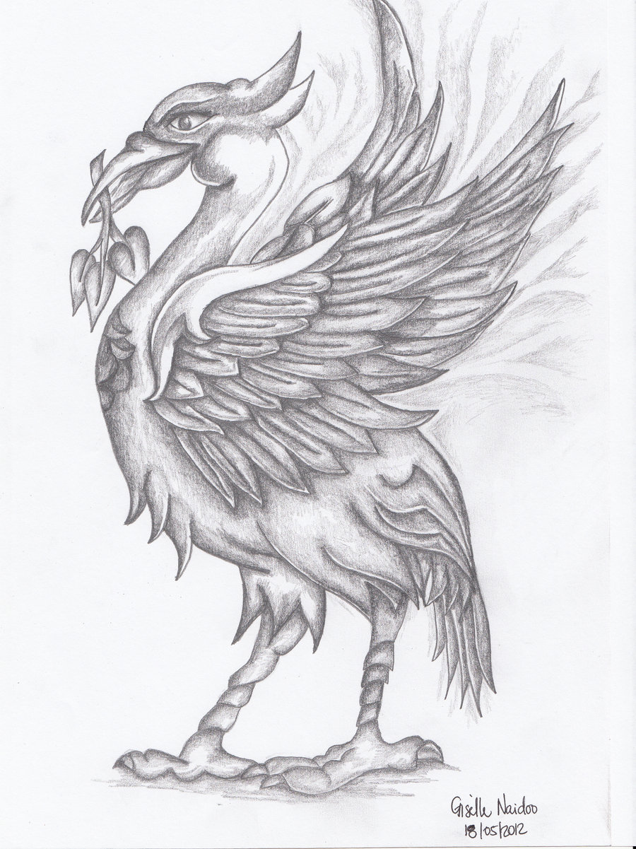 900x1201 Liverbird By Chizzel