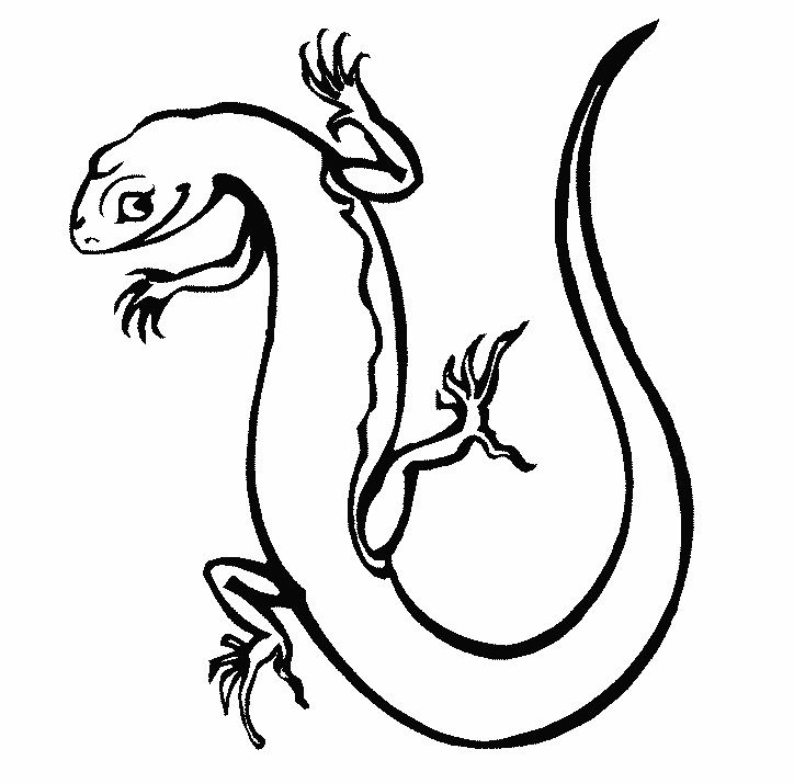 724x714 31 Best Tattoo Desighnes Cartoon Lizard Images