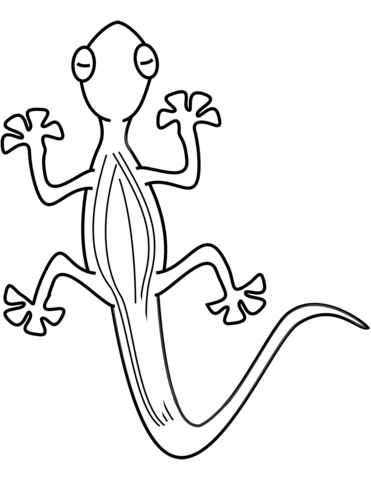 371x480 Lizard Coloring Page Free Printable Coloring Pages