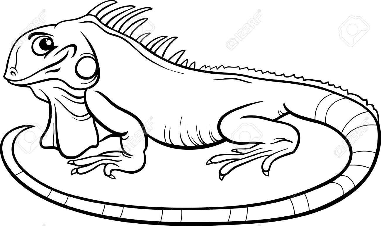 1300x773 Black And White Cartoon Illustration Of Funny Iguana Lizard