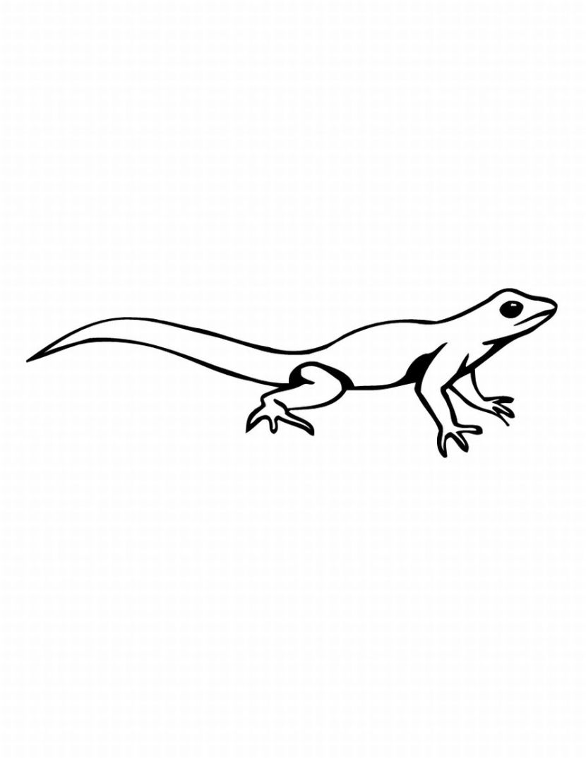 830x1074 Lizard Drawing Coloring ~ Child Coloring