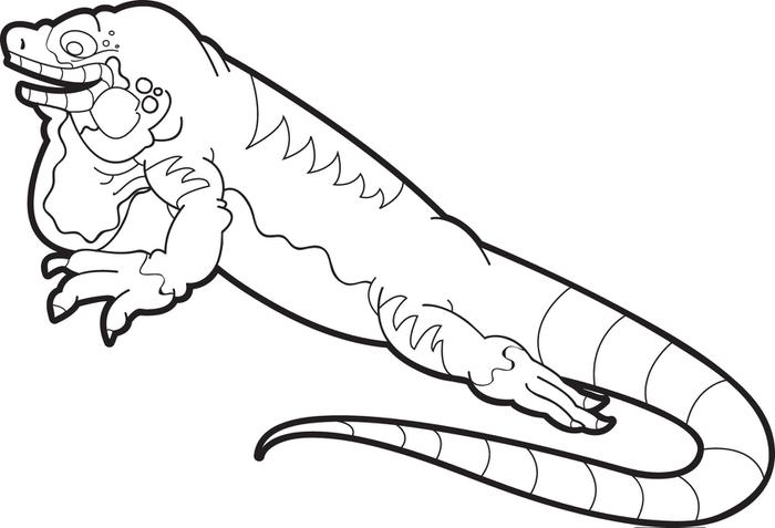 700x477 Free, Printable Lizard Coloring Page For Kids