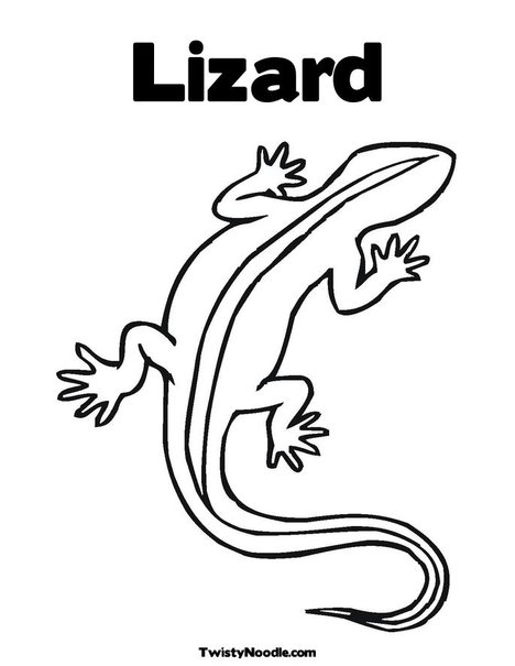 468x605 Lizard Lizards Lizards