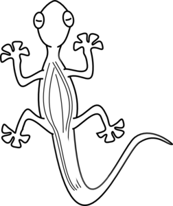 252x300 Lizard Outline Clip Art