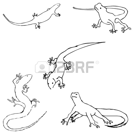 450x450 Lizards. Sketch By Hand. Pencil Drawing By Hand. Vector Image