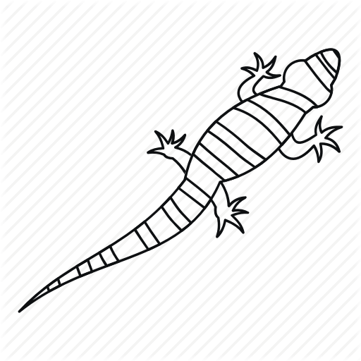 512x512 Animal, Isolated, Line, Lizard, Nature, Outline, Reptile Icon