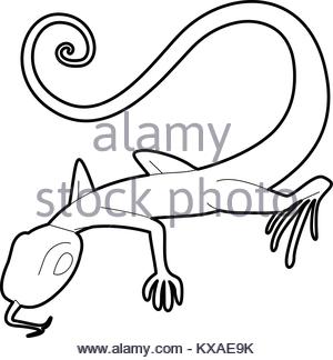 300x324 Brisk Lizard Icon, Outline Style Stock Vector Art Amp Illustration