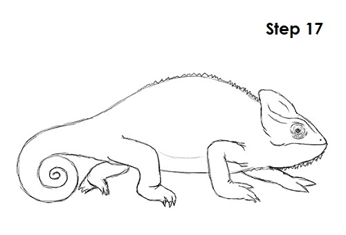 500x340 How To Draw A Chameleon