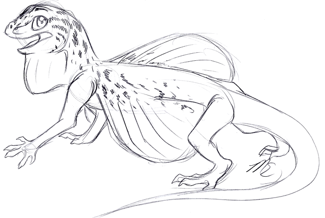 651x438 Dac 7 26 11 Flying Lizard By Therougecat