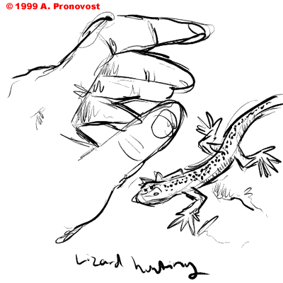 400x400 Drawn Lizard Face