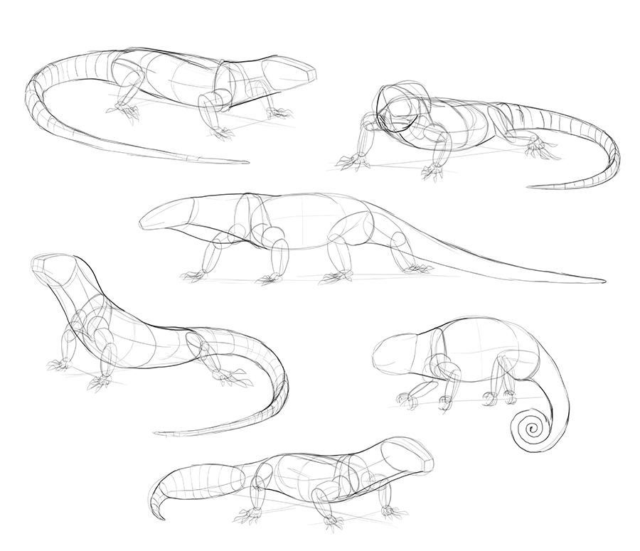 900x775 How To Draw Lizards (Aka Real Life Dragons)