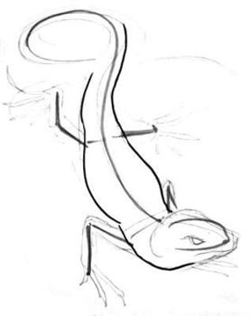 277x350 How To Draw A Lizard Step By Step