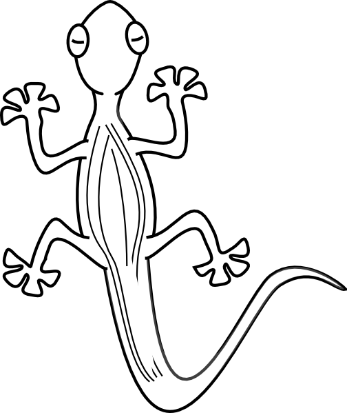 504x599 Lizard Outline Clip Art