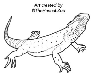 340x270 Reptile Drawing Etsy