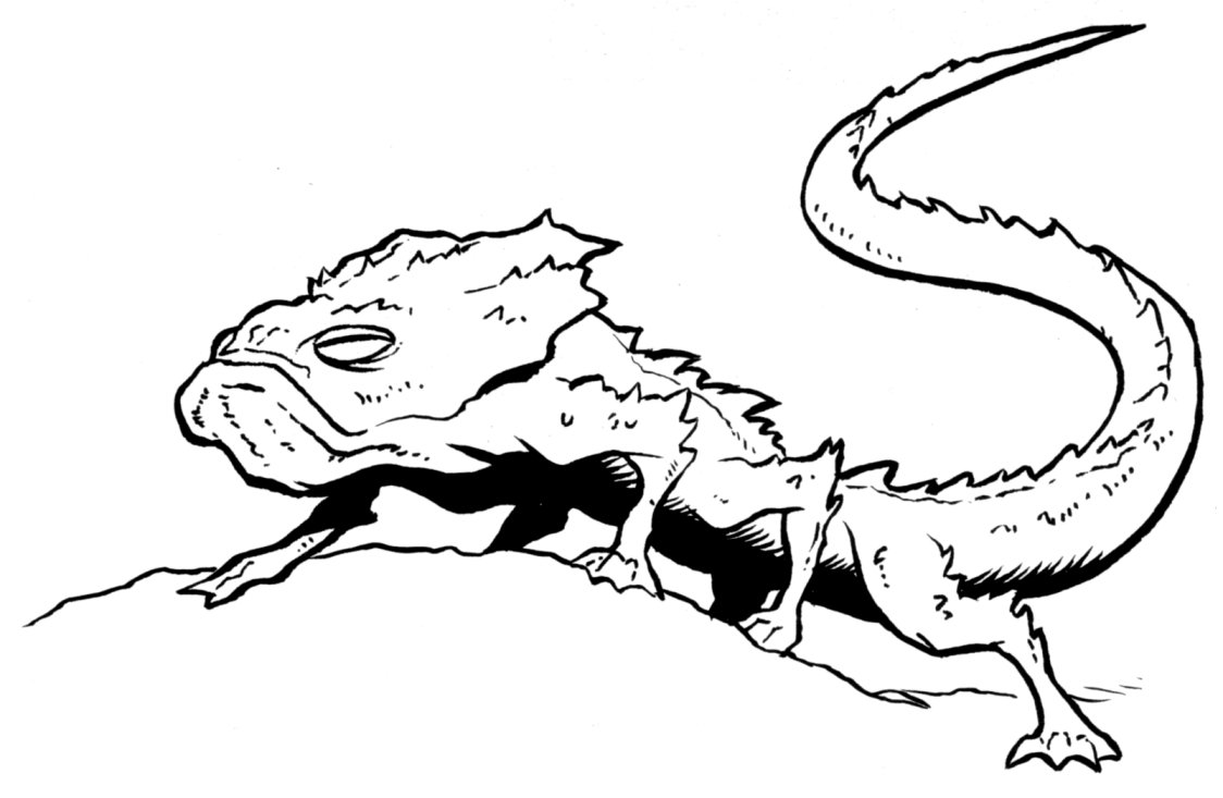 1124x733 Sun Lizard Wookieepedia Fandom Powered By Wikia