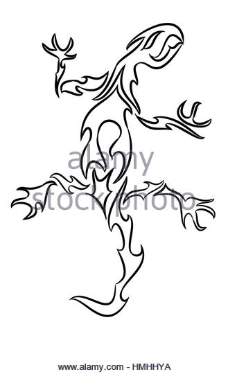 329x540 Gecko Black And White Stock Photos Amp Images