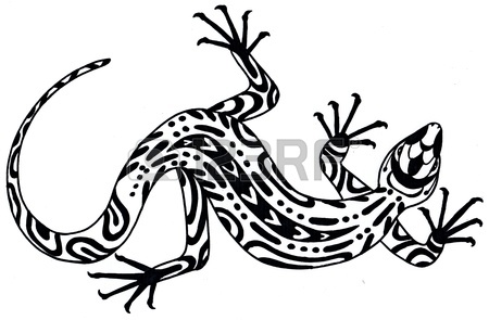 Lizard Outline Drawing at GetDrawings | Free download