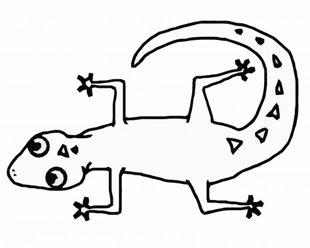 615x491 Lizard Outline Free Stock Photo Public Domain Pictures Outline
