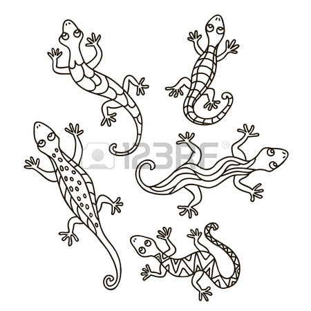 450x450 Outline Of Lizard Isolated On White Background. Graphic Stylized