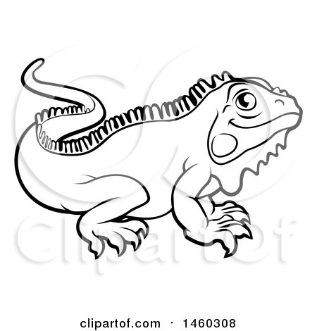 450x470 Clipart Of A Black And White Iguana Lizard