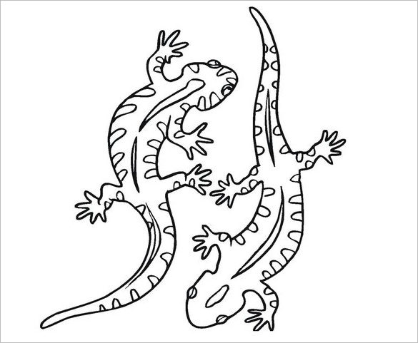 585x481 Lizard Templates, Crafts Amp Colouring Pages Free Amp Premium