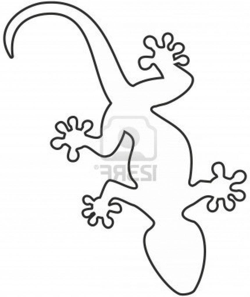 860x1024 Lizard Drawing