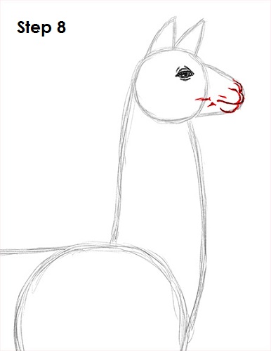 386x500 How To Draw A Llama