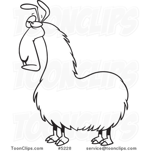 581x600 Cartoon Black And White Line Drawing Of A Bored Llama