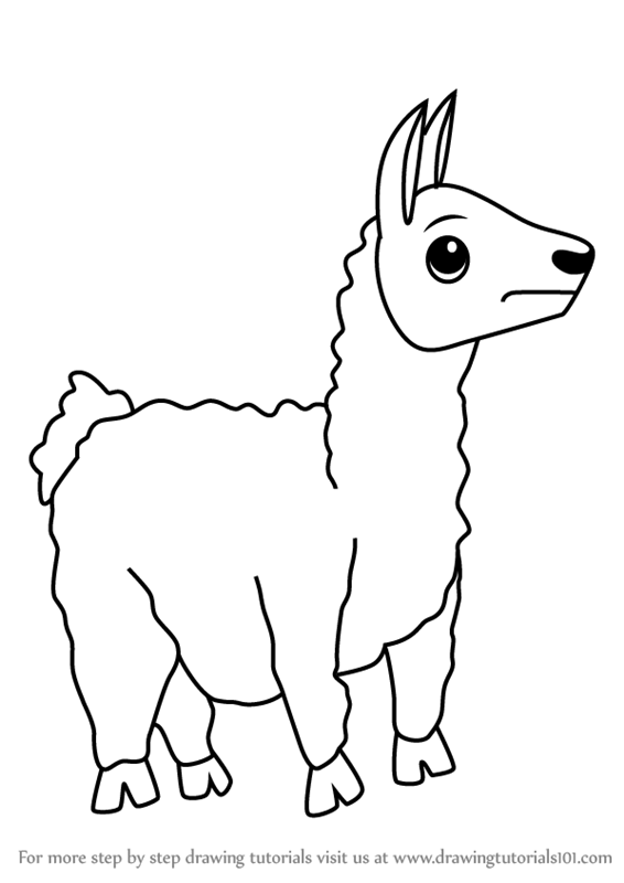 566x800 Learn How To Draw A Cartoon Llama (Cartoon Animals) Step By Step