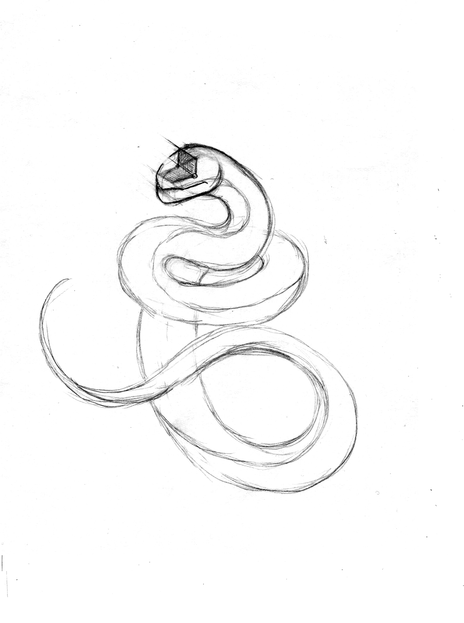 1582x2123 Drawing (With Tutorials)