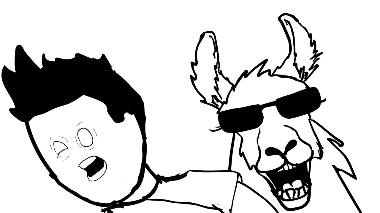 1280x720 Everybody Love A Llama!