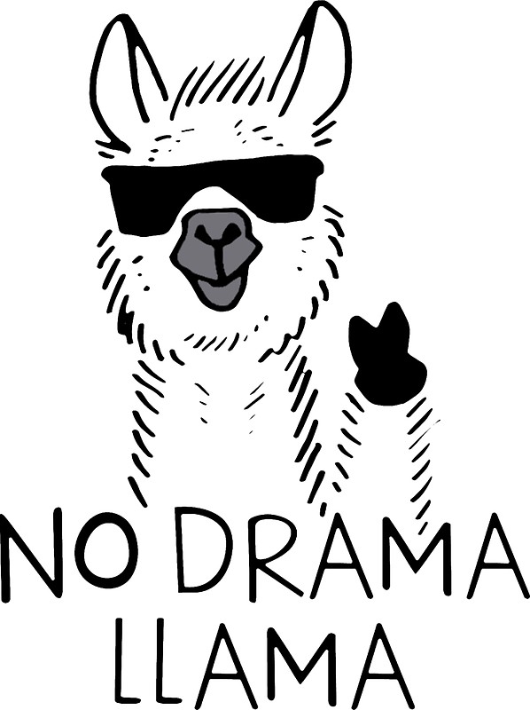 598x800 No Drama Llama Meme Face Stickers By Jewellmcchesney Redbubble